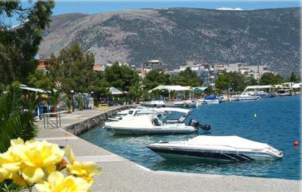 Iridanos Antikyra Exterior foto